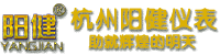 杭州阳健仪表公司